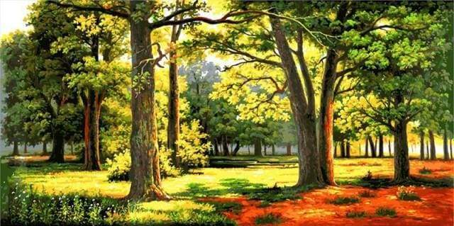 Sunny Forest Paint By Numbers Kit