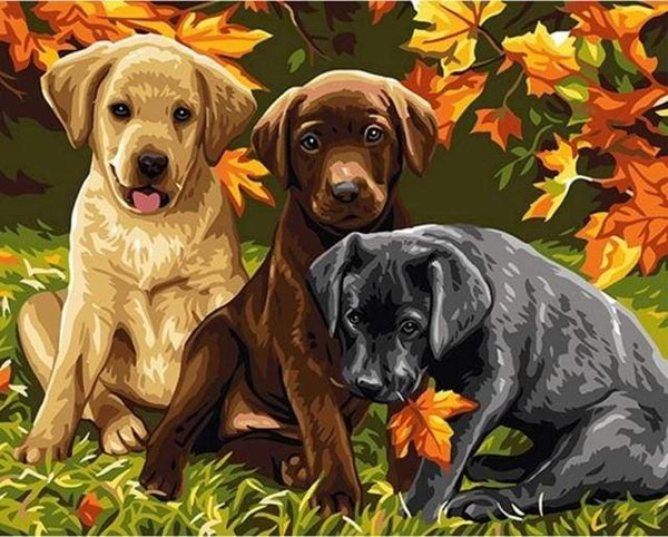 Three Dogs Paint By Numbers Kit
