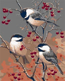 Three Friend Bird Paint By Numbers Kit