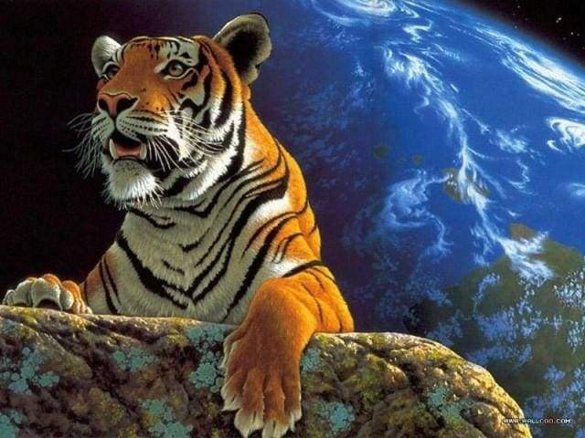 Tiger and earth Paint By Numbers Kit