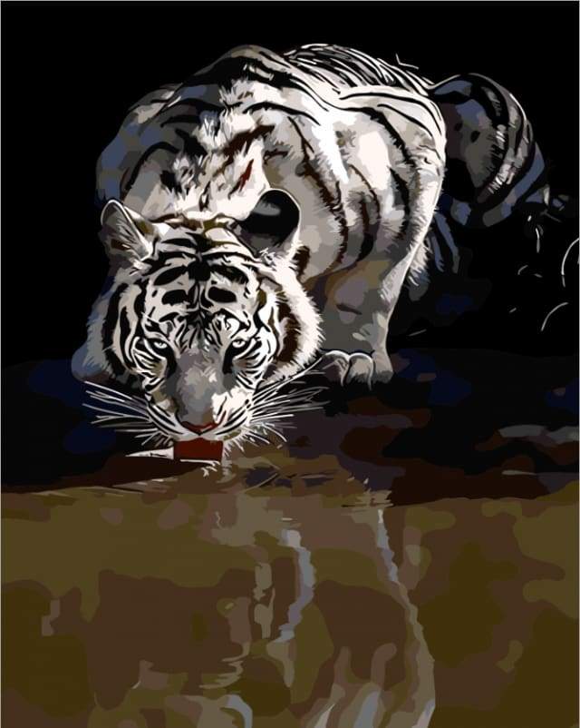 Tiger Reflection Paint By Numbers Kit