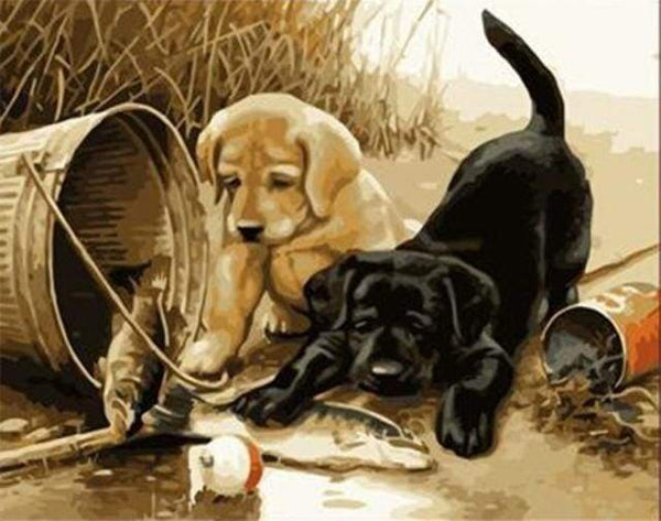 Two dogs playing Paint By Numbers Kit