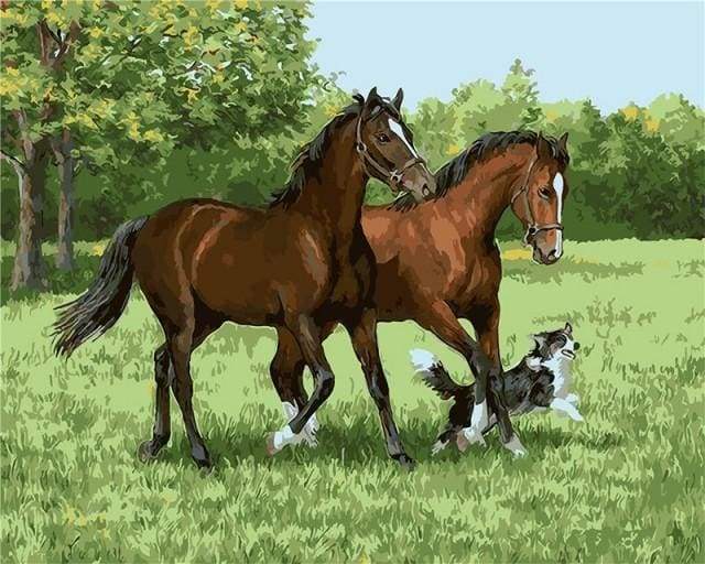 Two Horses And Dog Paint By Numbers Kit