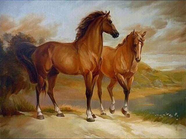Two Horses by the Water Paint By Numbers Kit
