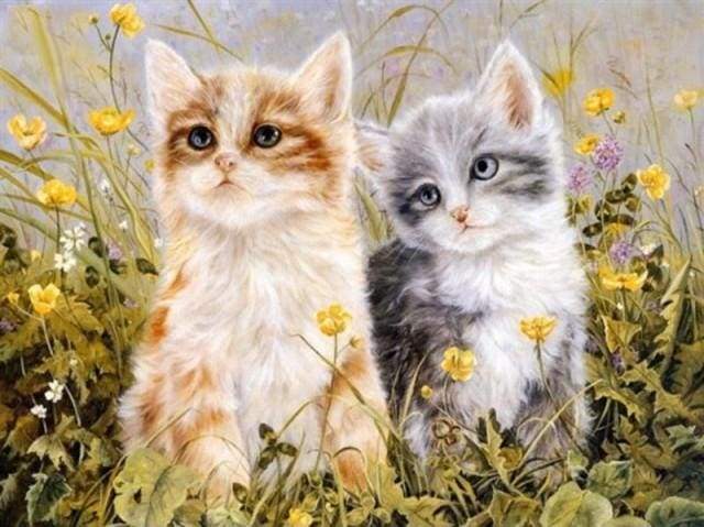 Two Kittens Paint By Numbers Kit
