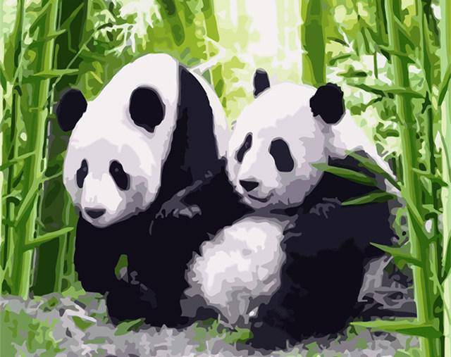 Two Pandas Paint By Numbers Kit