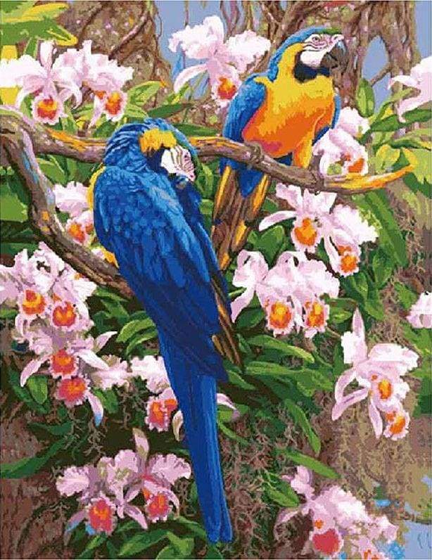 Two Parrots Paint By Numbers Kit