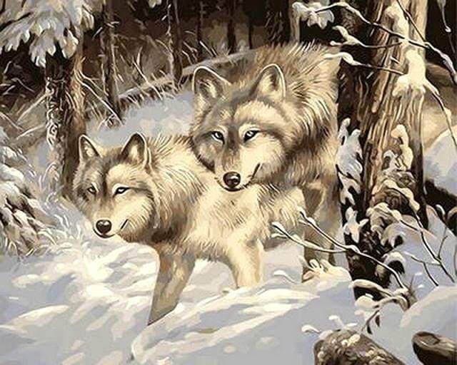Two Wolves in the Snow Paint By Numbers Kit
