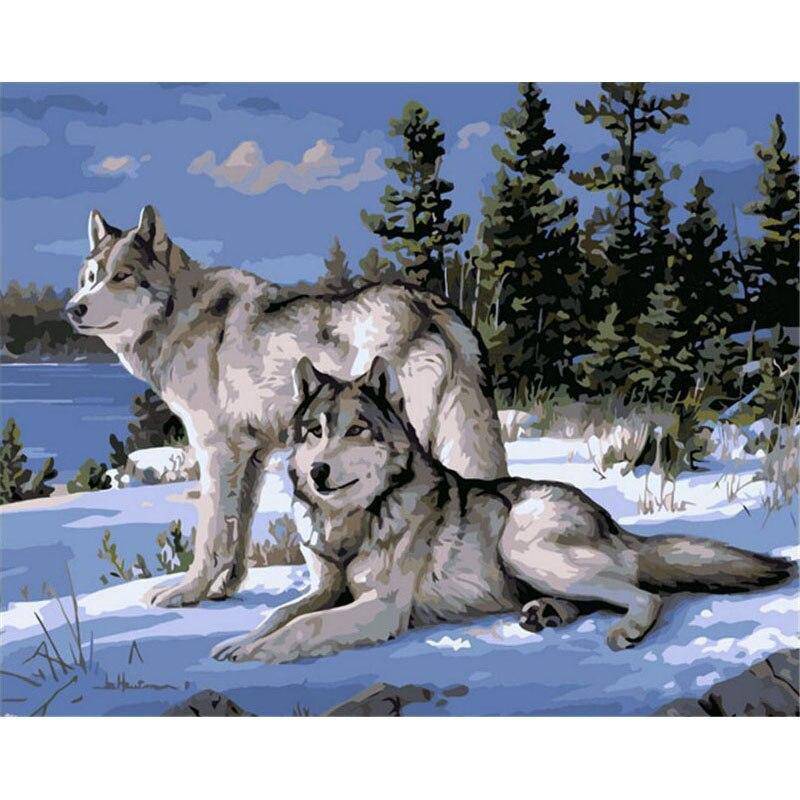 Two Wolves Looking Away Paint By Numbers Kit