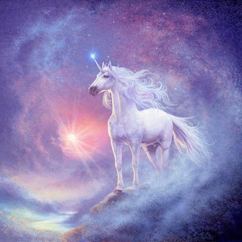 Unicorn Paint By Numbers Kit