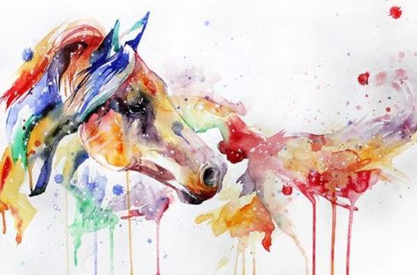 Watercolor Horse Paint By Numbers Kit