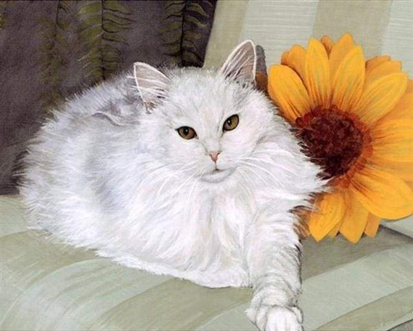 White Cat and Sunflower Paint By Numbers Kit