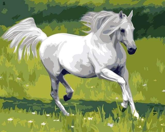 White Horse in the Field Paint By Numbers Kit