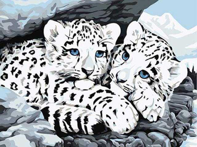 White Leopards Paint By Numbers Kit