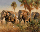Wild elephants Paint By Numbers Kit