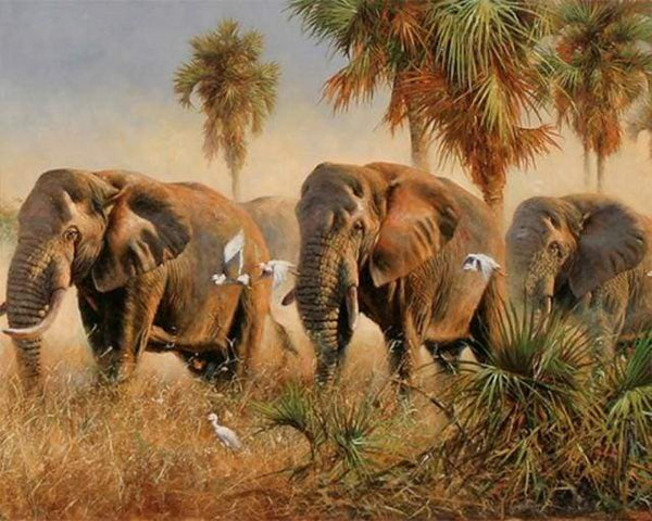 Wild elephants Paint By Numbers Kit
