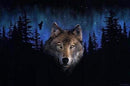 Wolf at Night Paint By Numbers Kit