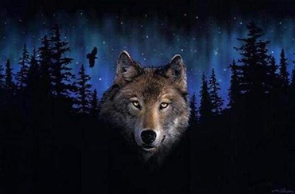 Wolf at Night Paint By Numbers Kit