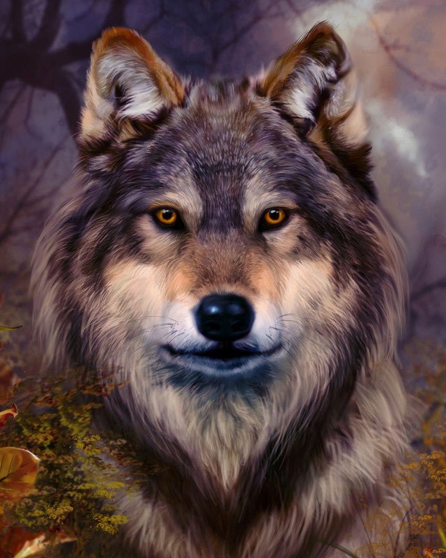 Wolf head Paint By Numbers Kit