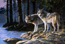 Wolves in the Forest Paint By Numbers Kit