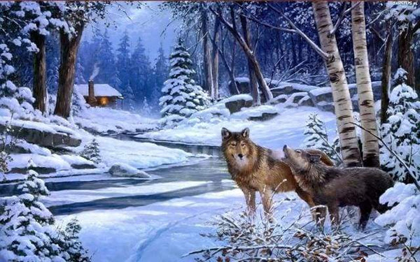 Wolves near the house Paint By Numbers Kit