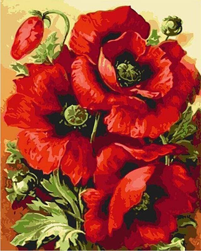 Wonderful Red Flowers Paint By Numbers Kit